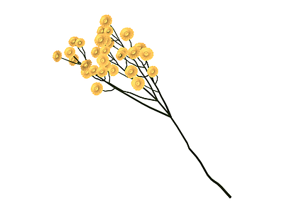 黄色干花花艺组合