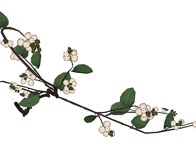 仿真白色小花枝条