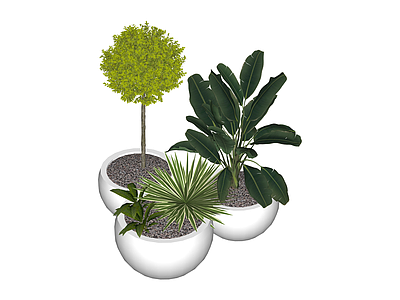 组合盆栽绿植景观