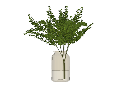 透明花瓶绿植组合