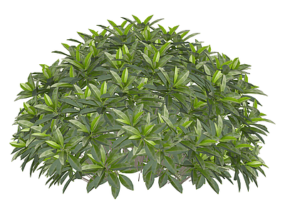 球形灌木绿植模型