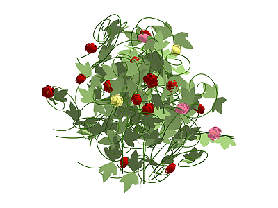 花艺藤蔓绿植组合