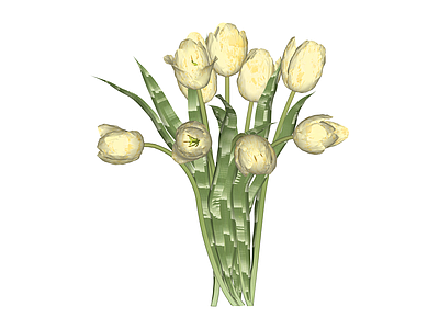 白模郁金香花束