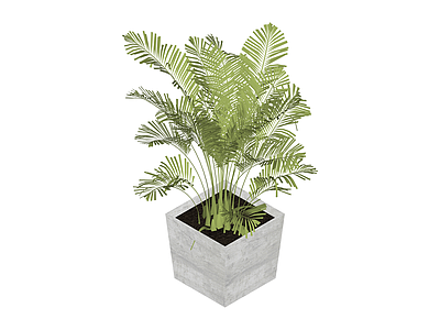 盆栽绿植模型