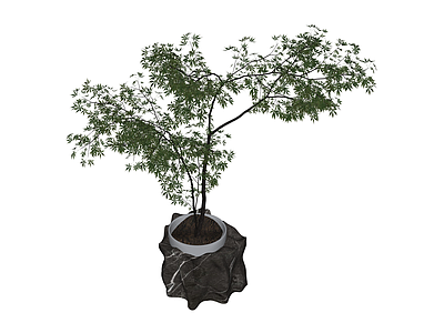 盆栽绿植景观组