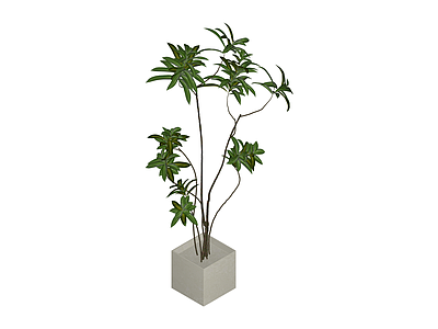 方盆绿植盆栽组合
