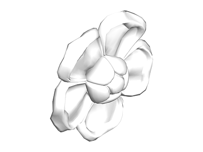 白色五瓣花朵模型
