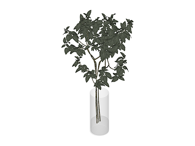 透明花瓶绿植组合