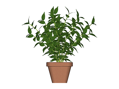 盆栽绿植模型