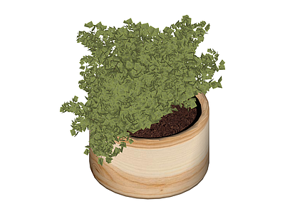 木质花盆绿植盆栽