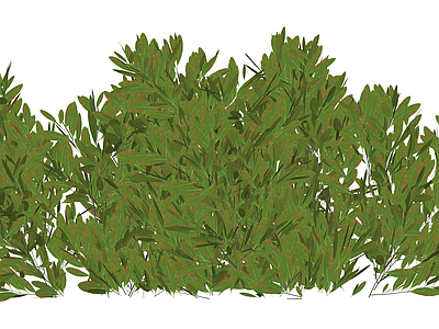 茂密灌木绿植模型