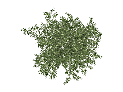 灌木绿植模型