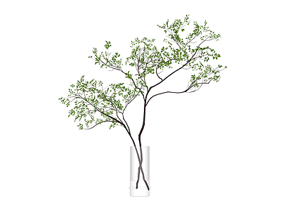 玻璃花瓶绿植组合