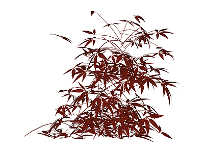 红叶灌木植物