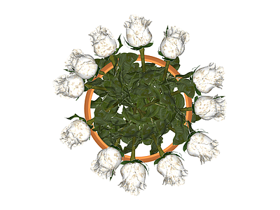 白色花束盆栽