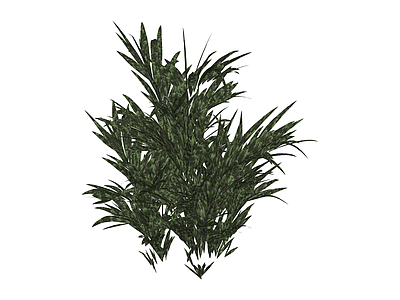 丛生观赏植物模型