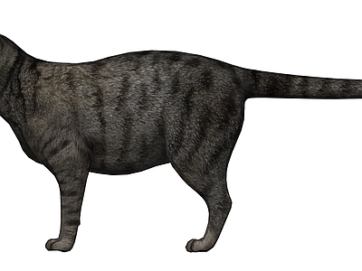 灰色虎斑猫模型