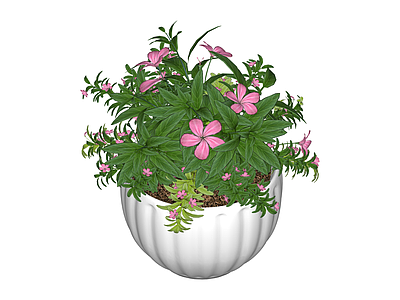 白色花盆栽植组合