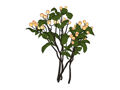 带果绿植组合