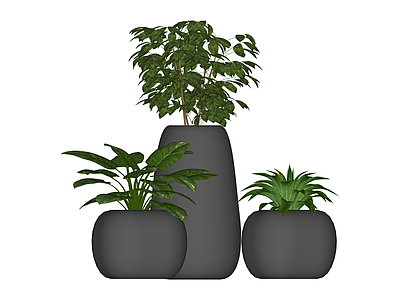 三盆组合绿植盆栽