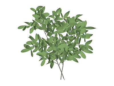 绿色灌木植物模型