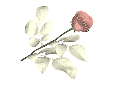 粉色玫瑰花艺模型