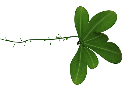 带花茎绿植模型