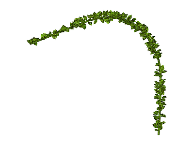 带盆绿植枝条