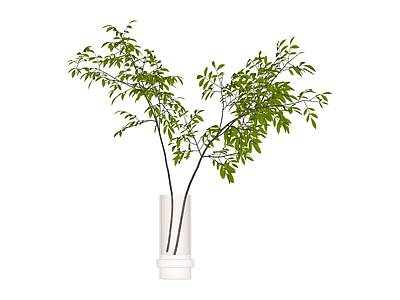 白色花瓶绿植盆栽