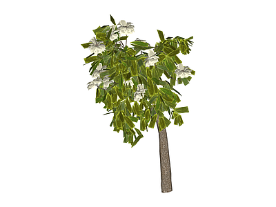带花绿植树木模型