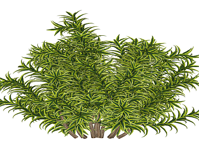 丛生绿植灌木模型