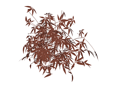 红叶灌木植物模型