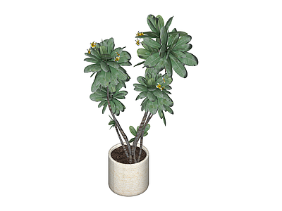盆栽绿植模型