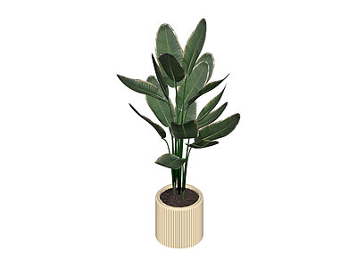 带盆绿植盆栽