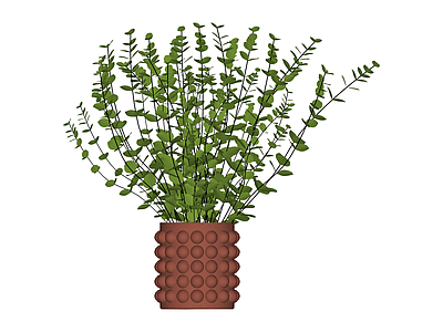 带盆绿植盆栽