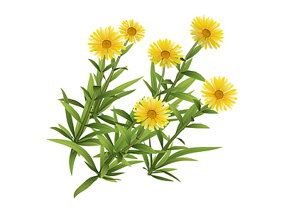 黄色花丛绿植组合