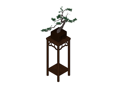 盆景松树盆栽
