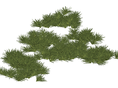 松树景观绿植模型