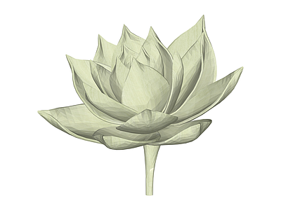 低多面风格白模莲花