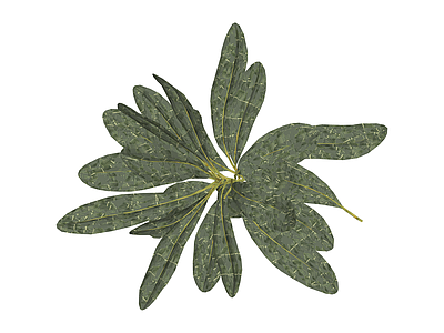 绿叶植物模型