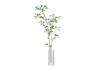 高瓶插绿植盆栽