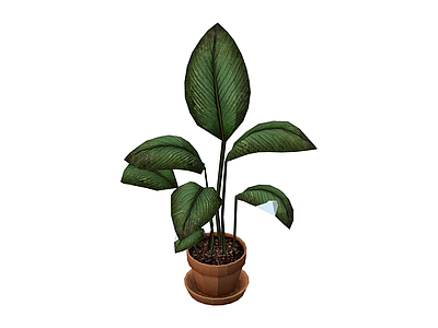 盆栽绿植模型