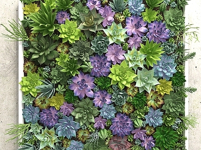 现代绿植墙