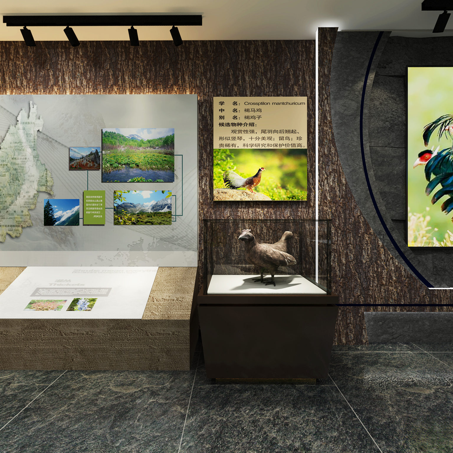 全景现代森林博物馆