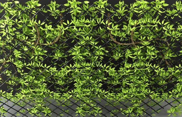 北欧绿植吊灯 藤条 墙 天花
